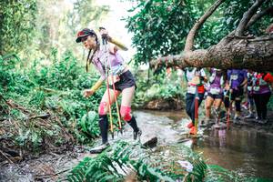 BIB: 
                            <button type="button" onclick="openModal(25516988)" class="btn btn-primary btn-sm float-right btn-popup" data-toggle="modal" data-target=".modal-high-quality">
                        <i class="fas fa-shopping-cart"></i> Add to Cart
                    </button>
                                            <button type="button" onclick="isThisMe(25516988, true)" class="btn btn-success btn-sm float-right btn-popup btn-isme hidden" data-toggle="tooltip" data-placement="bottom" title="นี่คือรูปของคุณใช่ไหม คลิกที่นี่เพื่อเอาเข้าอัลบั้ม">
                        <i class="fas fa-plus"></i> Add to album
                    </button>
                    <button type="button" onclick="isThisMe(25516988, false)" class="btn btn-warning btn-sm float-right btn-popup btn-isnotme hidden">
                        <i class="fas fa-ban"></i> Remove from album
                    </button>